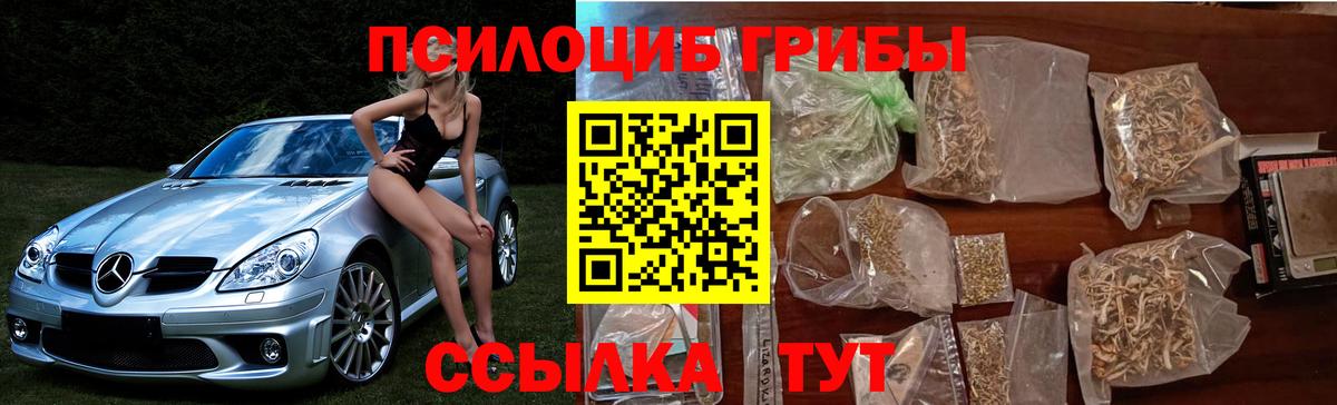 хочу   Вход с VPN  Псилоцибиновые грибы MAGIC MUSHROOMS  Новокуйбышевск  Галлюциногенные грибы Psilocybine cubensis 